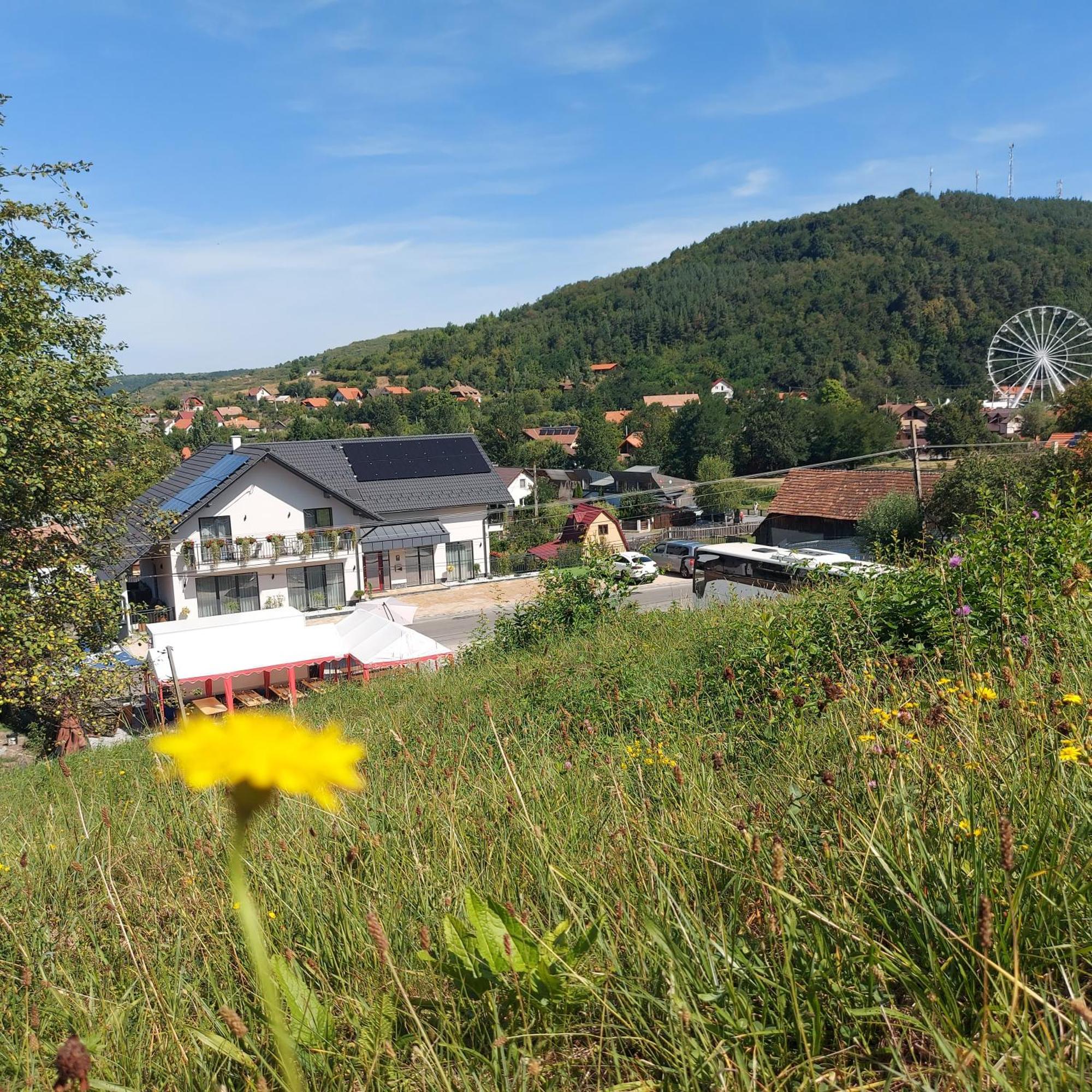 Pensiunea Royal Panzio Praid Exteriör bild